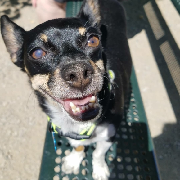 Meet your Posher, Katie - Picture 4 of 6